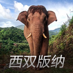 孙嘉璐晒阳谋书单，没想到当演员和制片人外，她竟还是个开箱博主